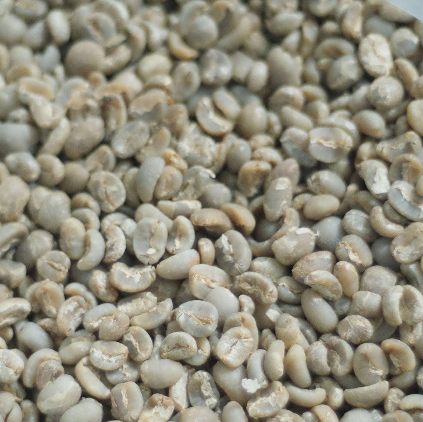 Sumatra Solok Radjo Cooperative
