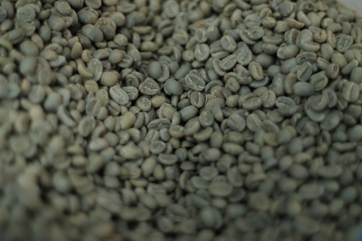 Ethiopia Guji Hambela Dabaye